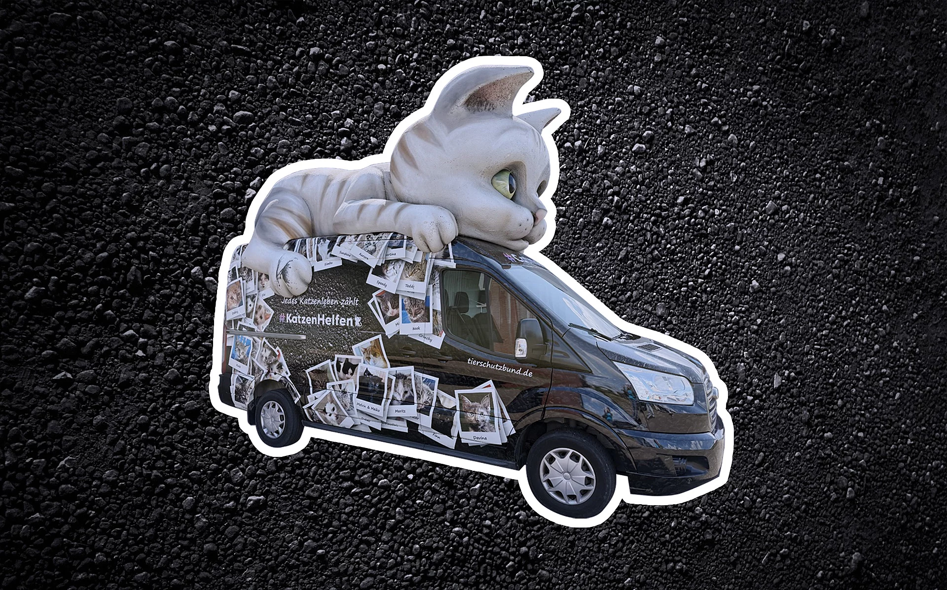 Das Catmobil ist vor einem schwarzen Hintergrund abgebildet. Auf dem Fahrzeug liegt eine große Katze und auf Auto sind Bilder von Katzen in Polaroidoptik abgebildet. 