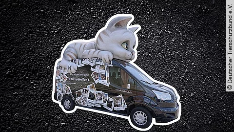 Das Catmobil ist vor einem schwarzen Hintergrund abgebildet. Auf dem Fahrzeug liegt eine große Katze und auf Auto sind Bilder von Katzen in Polaroidoptik abgebildet.