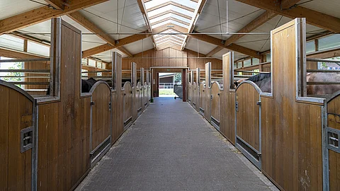 Bild eines Pferdestalls mit Boxen