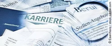 Berufswahl und Karriere