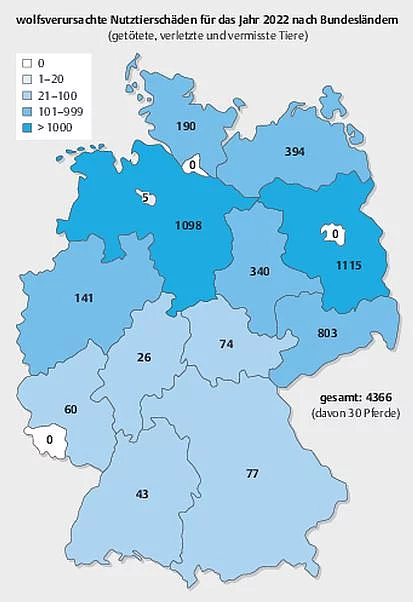 Nutztierschäden