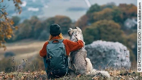 portrait of a beautiful woman