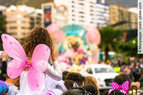 Verkleidete Personen schauen einem Karnevalsumzug zu.