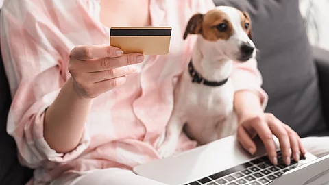 Eine Frau sitzt auf einem Sofa. Auf ihrem Schoß sitzt ein kleiner Jack Russell Terrier mit weiß-braunem und glattem Fell. Außerdem hält die Person in der rechten Hand eine Bankkarte. Auf ihren Knien ist ein Laptop abgestellt, wessen sie mit der linken Hand bedient.