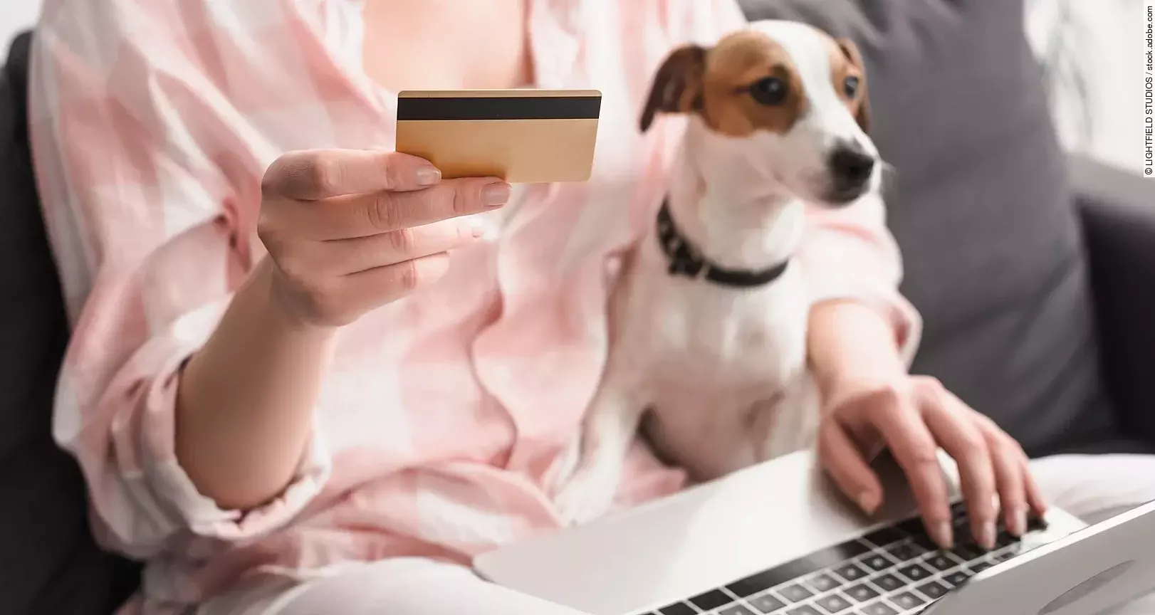Eine Frau sitzt auf einem Sofa. Auf ihrem Schoß sitzt ein kleiner Jack Russell Terrier mit weiß-braunem und glattem Fell. Außerdem hält die Person in der rechten Hand eine Bankkarte. Auf ihren Knien ist ein Laptop abgestellt, wessen sie mit der linken Hand bedient.
