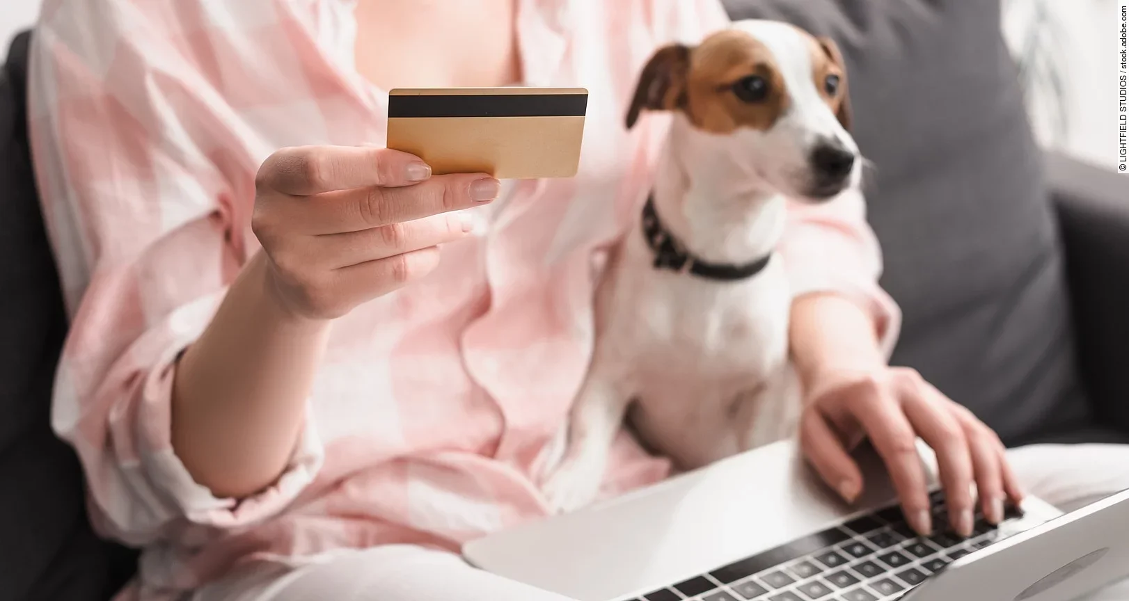 Eine Frau sitzt auf einem Sofa. Auf ihrem Schoß sitzt ein kleiner Jack Russell Terrier mit weiß-braunem und glattem Fell. Außerdem hält die Person in der rechten Hand eine Bankkarte. Auf ihren Knien ist ein Laptop abgestellt, wessen sie mit der linken Hand bedient.