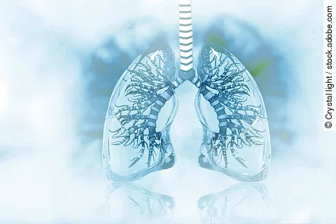 Eine Grafik bildet eine menschliche Lunge in Blautönen ab.