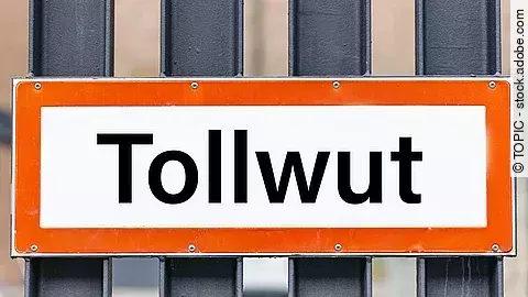 An einer Wand hängt ein rechteckiges Hinweisschild mit roter Umrandung. Auf dem Schild steht in schwarzen Buchstaben auf weißem Hintergrund das Wort Tollwut.
