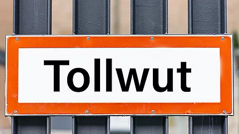 An einer Wand hängt ein rechteckiges Hinweisschild mit roter Umrandung. Auf dem Schild steht in schwarzen Buchstaben auf weißem Hintergrund das Wort Tollwut.