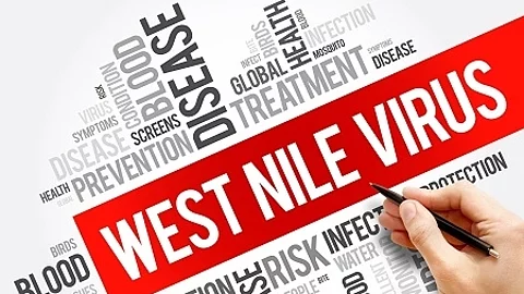 West Nile Virus word cloud collage