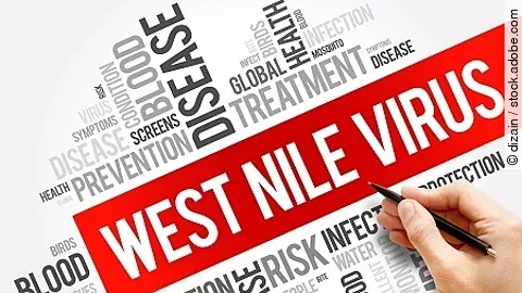 West Nile Virus word cloud collage