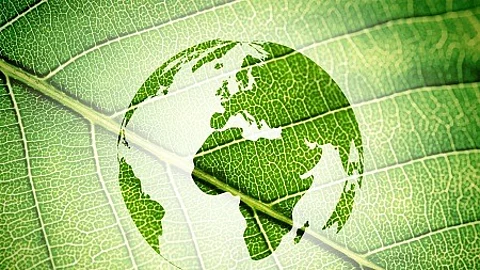 Silhouette of Earth on green leaf texture background.