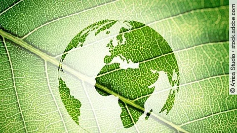 Silhouette of Earth on green leaf texture background.