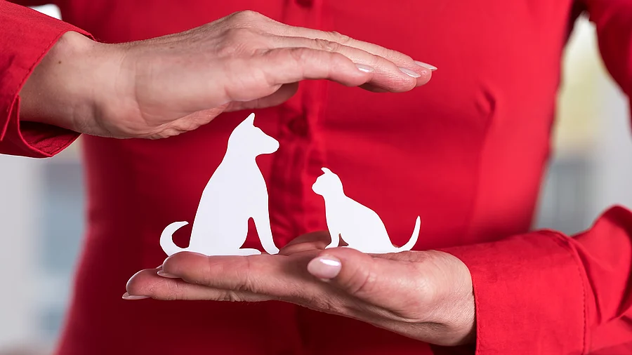 Symbolisch werden die Silhouetten von Hund und Katze auf der flachen Hand gehalten. Schützend wird die rechte Hand über den beiden Silhouetten gehalten. Die Bluse der Person ist rot und beide Hände mit den Silhouetten werden auf Höhe des Bauchnabels gehalten.