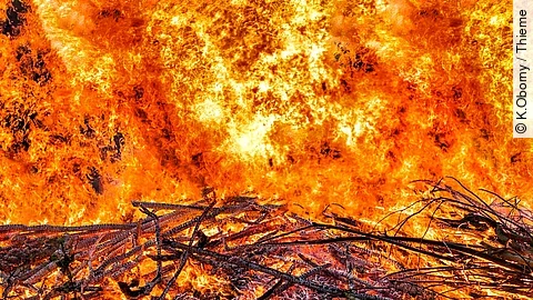 Holz, das in Brand steht.