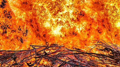 Holz, das in Brand steht.
