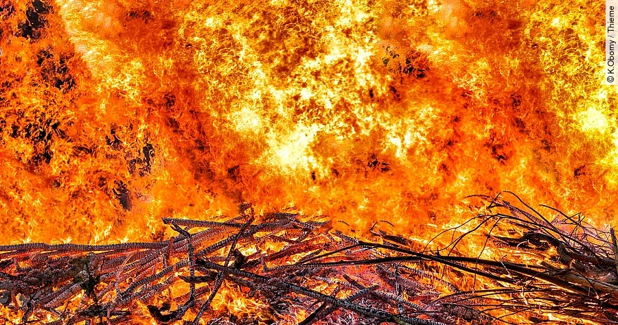 Holz, das in Brand steht.