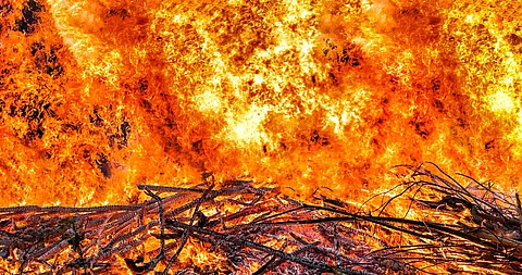 Holz, das in Brand steht.
