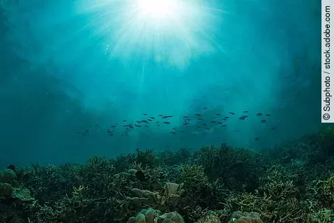 Aufnahme des Ozeans unter Wasser.