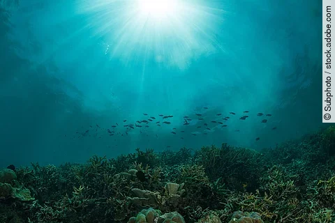 Aufnahme des Ozeans unter Wasser.