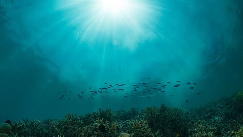 sun rays on a coral reef with small fishes Aufnahme des Ozeans unter Wasser.