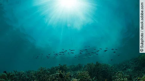 Aufnahme des Ozeans unter Wasser.