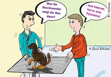 Ein Comic zeigt eine Frau, die mit ihrem Hund zum Tierarzt gegangen ist und vorher offensichtlich eine mögliche Diagnose gegoogelt hat.