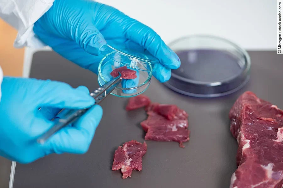 Fleischuntersuchung im Labor