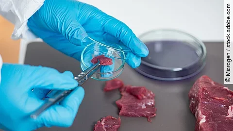 Fleischuntersuchung im Labor