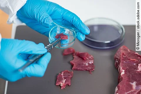 Fleischuntersuchung im Labor