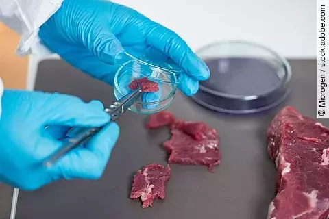 Fleischuntersuchung im Labor