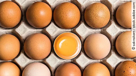 Auf dem Bild sind 15 weiße Eier in einem offenen Eierkarton angeordnet. Die Eier liegen eng beieinander, jedes in einer kleinen Vertiefung des Kartons. In der Mitte des Kartons befindet sich ein Ei, dessen obere Schale fehlt, sodass das leuchtend gelbe Eigelb deutlich sichtbar ist.