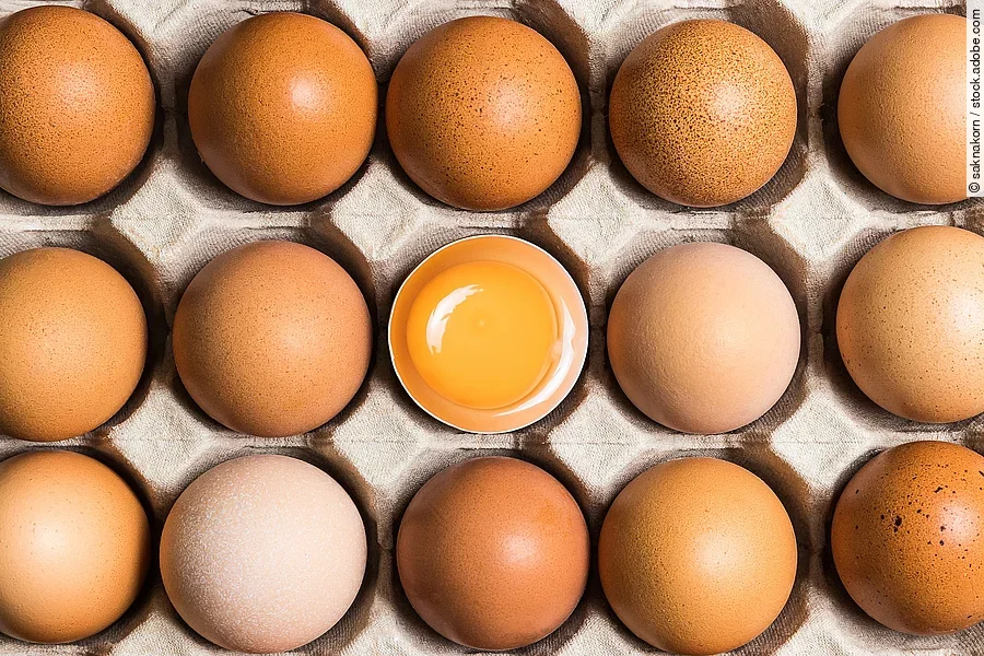 Auf dem Bild sind 15 weiße Eier in einem offenen Eierkarton angeordnet. Die Eier liegen eng beieinander, jedes in einer kleinen Vertiefung des Kartons. In der Mitte des Kartons befindet sich ein Ei, dessen obere Schale fehlt, sodass das leuchtend gelbe Eigelb deutlich sichtbar ist.