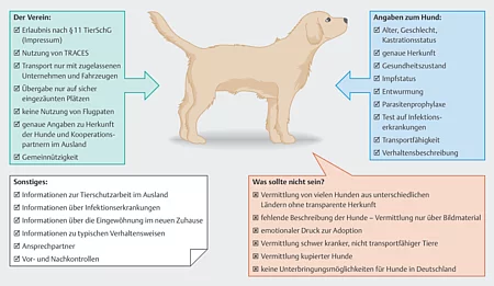 Eine Grafik mit einem Hund in der Mitte zeigt in vier bunten Kästen, welche Informationen auf der Homepage eines Tierschutzvereins vorhanden sein sollten.
