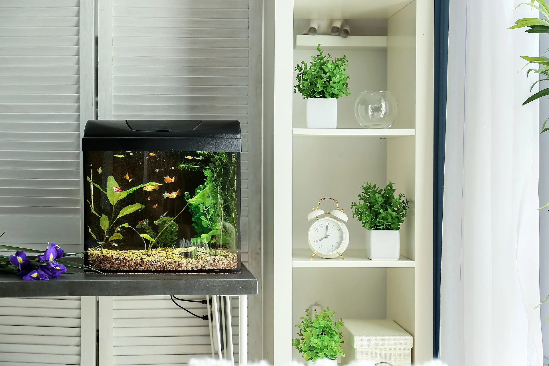 Nanoaquarium