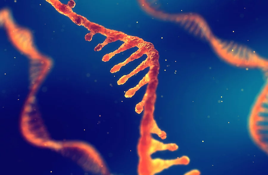 RNA-Strang RNA-Strang