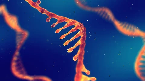 RNA-Strang