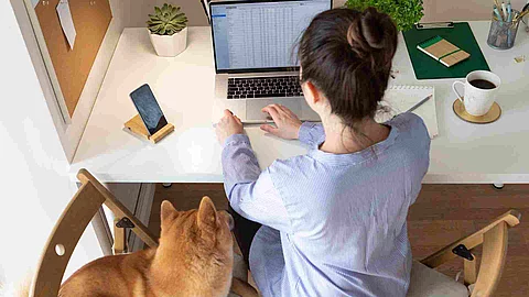 Covid-19 working from home concept. Woman using laptop, Shiba In