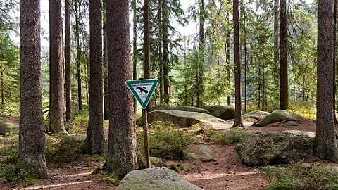 Naturschutzgebiet