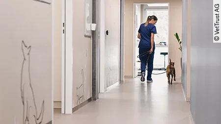 In einer Tierarztpraxis läuft eine Frau mit einem Hund an der Leine auf dem Flur.