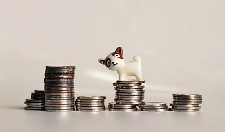 The pile of coins and a miniature dog.