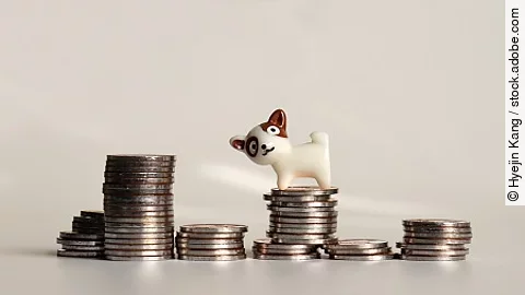 The pile of coins and a miniature dog.
