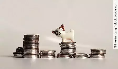 The pile of coins and a miniature dog.