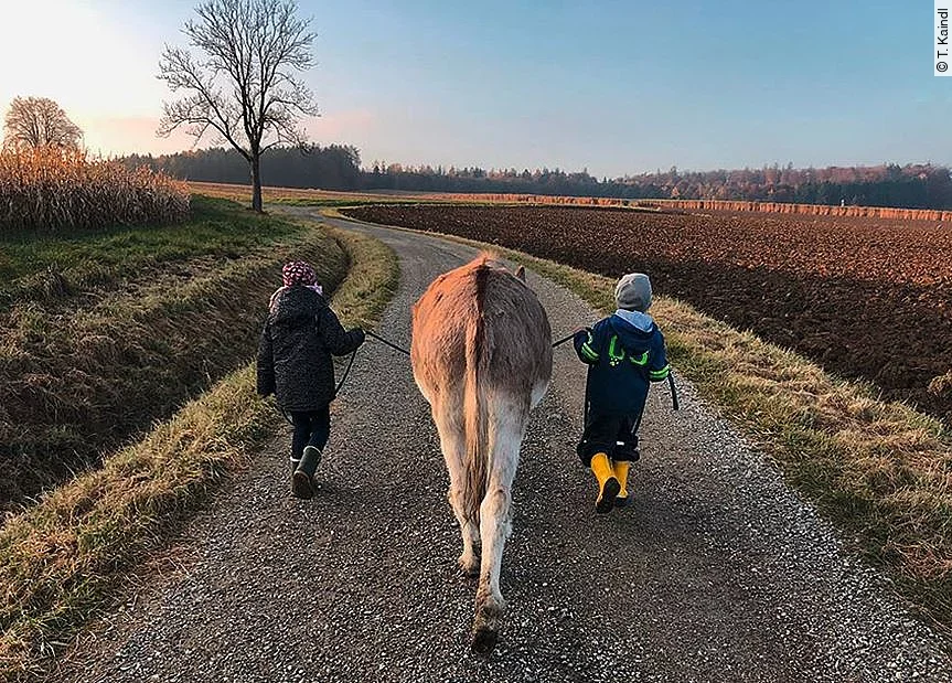 Zwei Kinder gehen gemeinsam mit einem Esel spazieren. Dabei läuft der Esel brav in der Mitte.