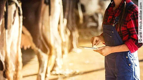 Farming,  and animal husbandry concept -  Woman  or farmer with tablet and cows in cowshed on dairy farm.