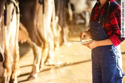 Farming,  and animal husbandry concept -  Woman  or farmer with tablet and cows in cowshed on dairy farm.