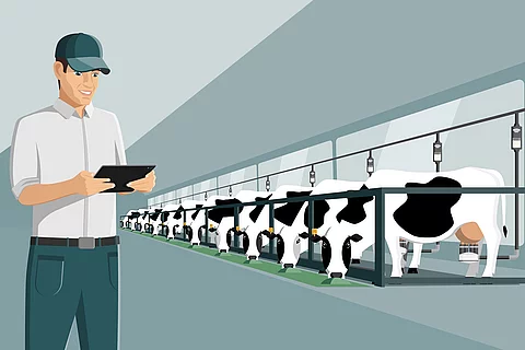 Eine Grafik eines Milchviehbetriebs zeigt Milchkühe in einer Reihe und einen Landwirt im Vordergrund, der auf ein Tablet schaut.