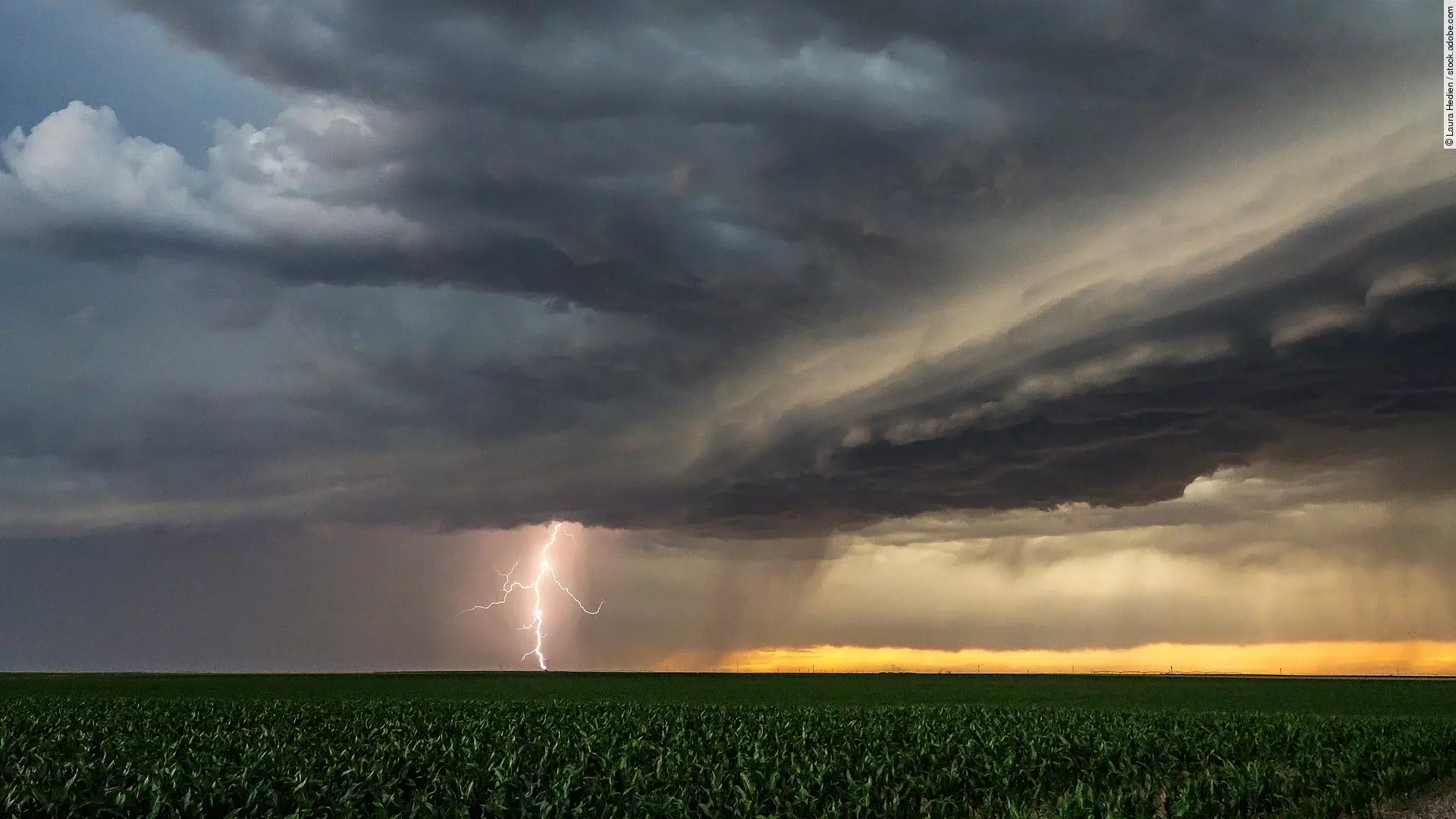 Ein Gewitter ist über einem Feld in den Great Plains. Ein Blitz zieht von den Wolken Richtung Erde. Die Wolken sind dunkel. In weiter Ferne ist der Himmel wird heller in einem gelblichen Ton. 