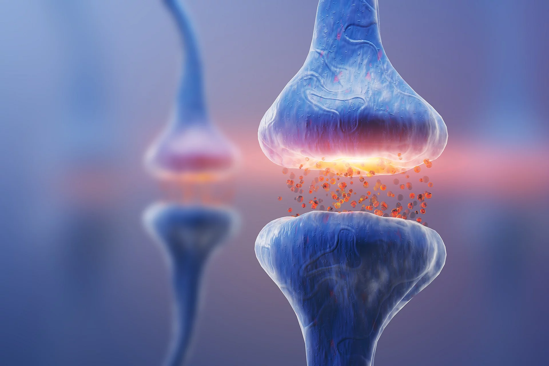 Darstellung einer blauen Synpase und einem Neuron.