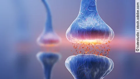 Darstellung einer blauen Synpase und einem Neuron.